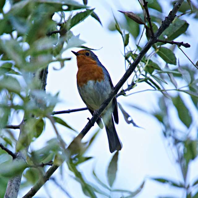 Sitting. Weather forecasts with beautiful photos by tony5636 Photos in World
