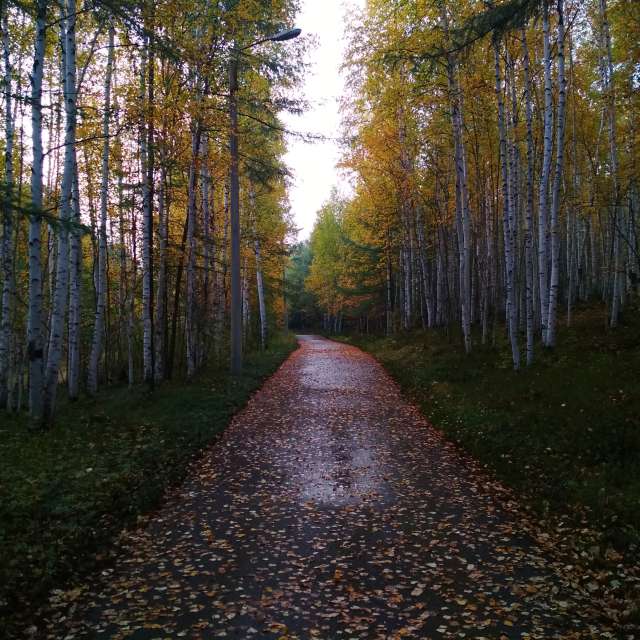 Pronósticos del tiempo con hermosas fotos de Vladislav Far East