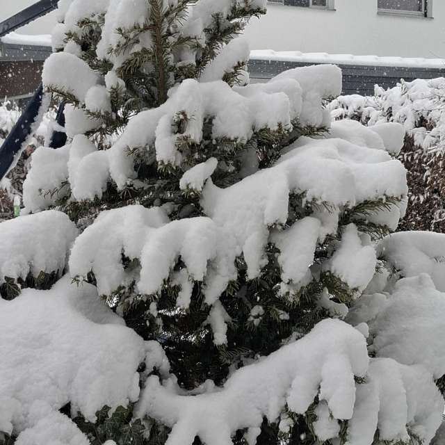 Dự báo thời tiết với những bức ảnh đẹp của Steffi316