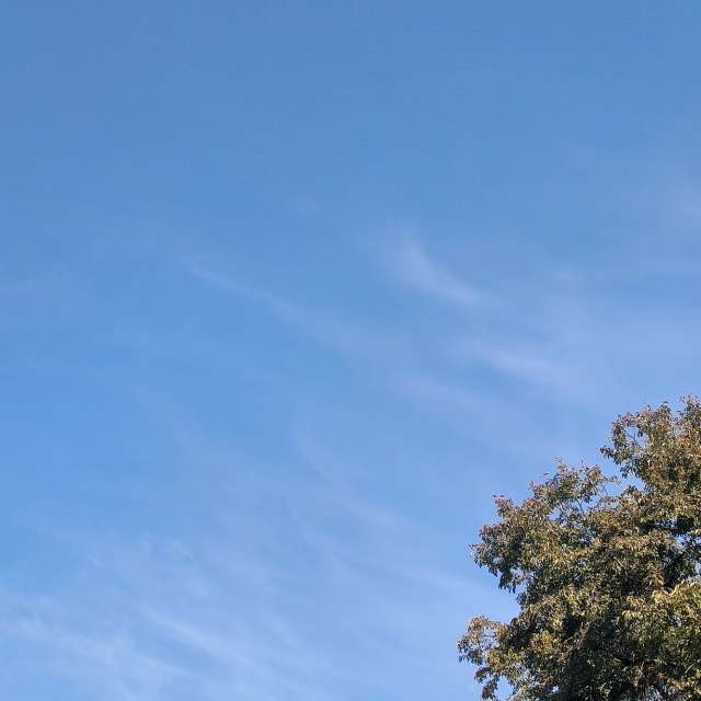 Fotos del Caballo. Pronósticos del tiempo con hermosas fotos de YanBog en București