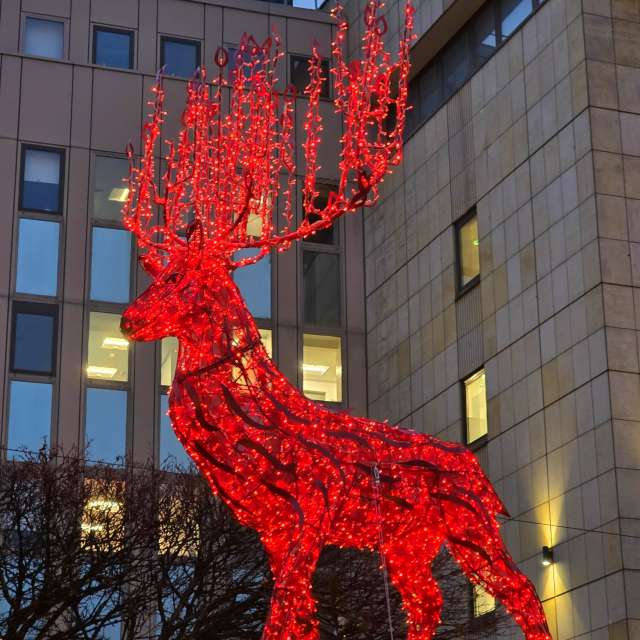 Seniの美しい写真による天気予報