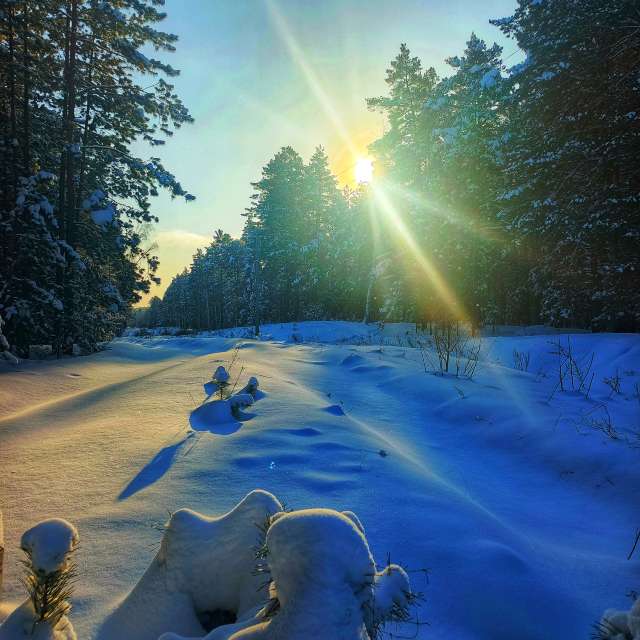 市场的天气照片. 天气预报，带ElenaMak精美的照片