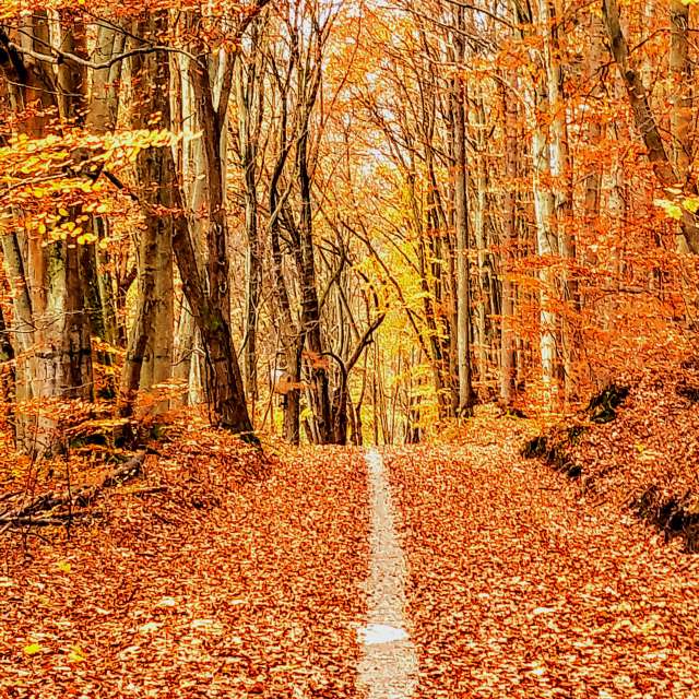 Dự báo thời tiết với những bức ảnh đẹp của Wiesiek