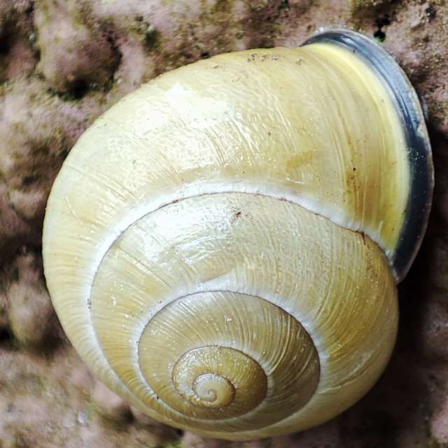 Food. Weather forecasts with beautiful photos by Tercis Photos in Ettlingen