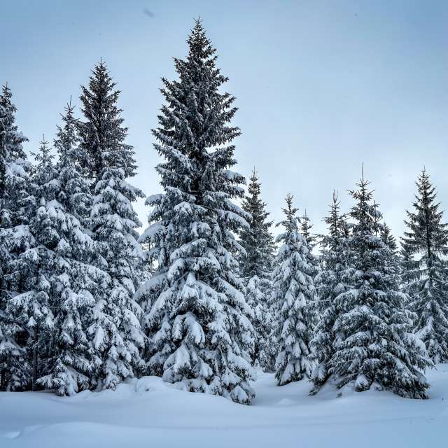 Прогнозы погоды с чудесными фотографиями, сделанными LMukasz