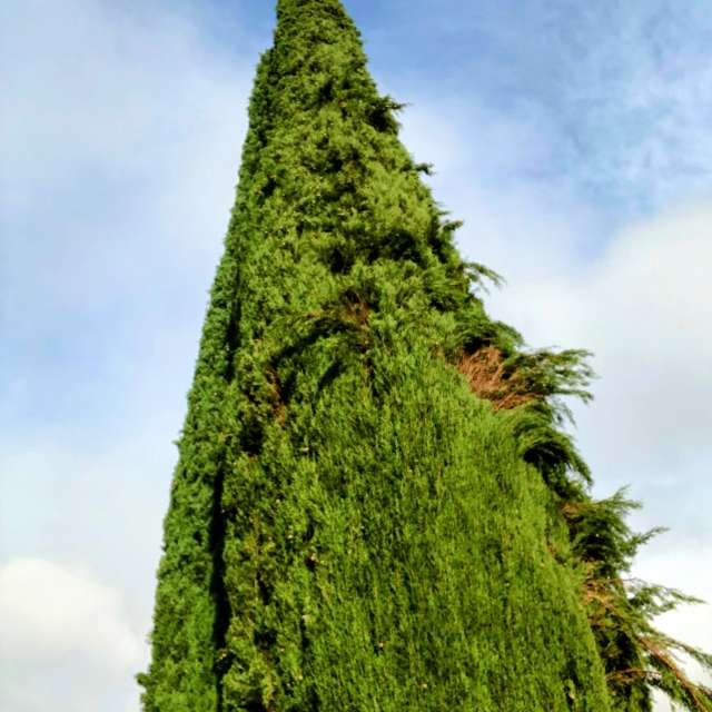 Side. Weather forecasts with beautiful photos by Lulu5523 Photos in Madrid