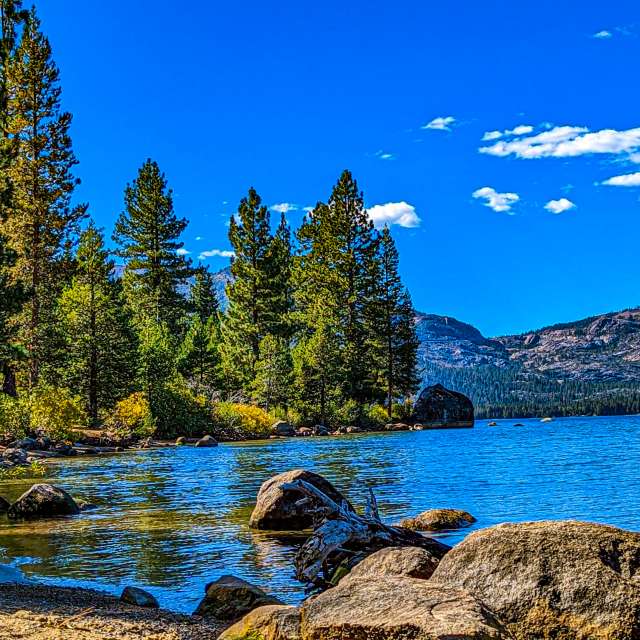 世界的天气照片. 天气预报，带CourtT精美的照片