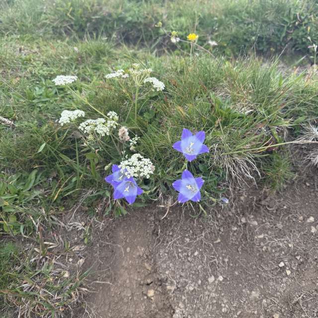 Dự báo thời tiết với những bức ảnh đẹp của mas777777