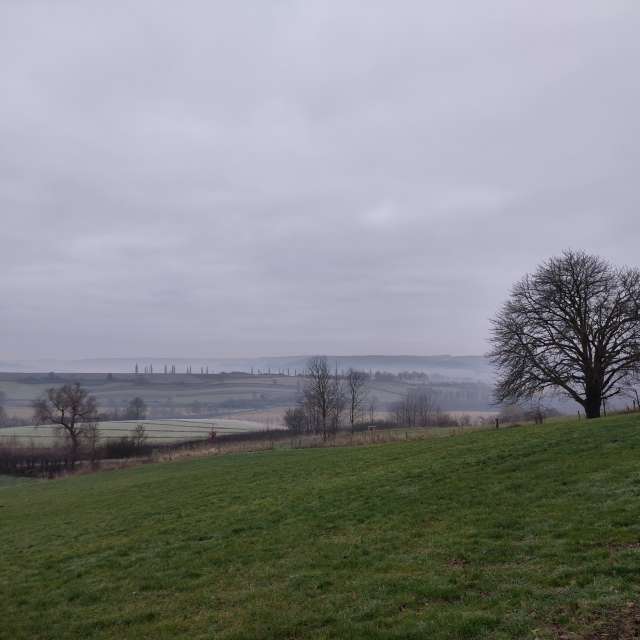 Prévisions météo avec de superbes photos de Rosaja