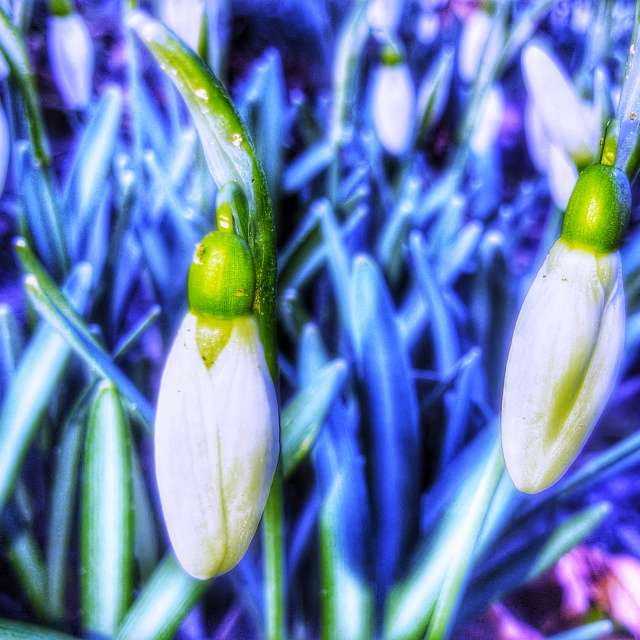 Weather forecasts with beautiful photos by Gweiland