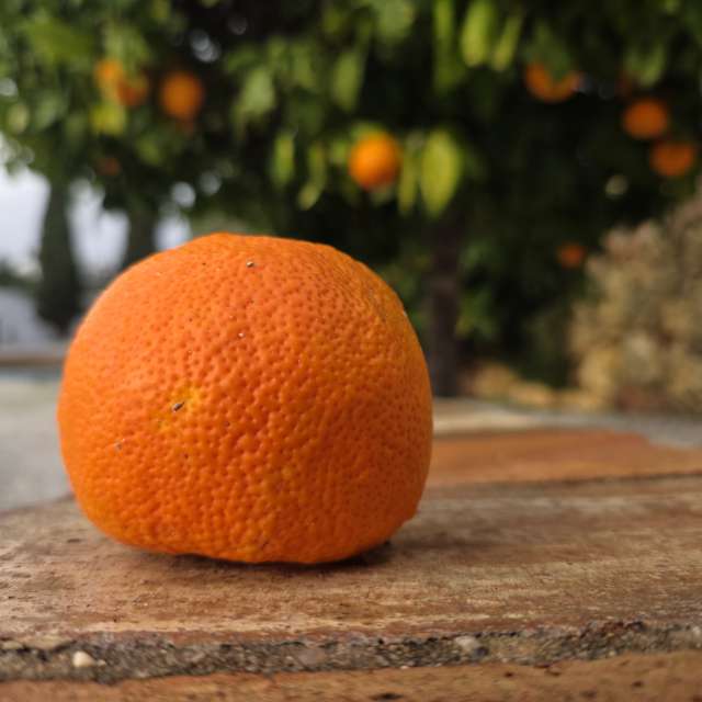 Weather forecasts with beautiful photos by Brtd