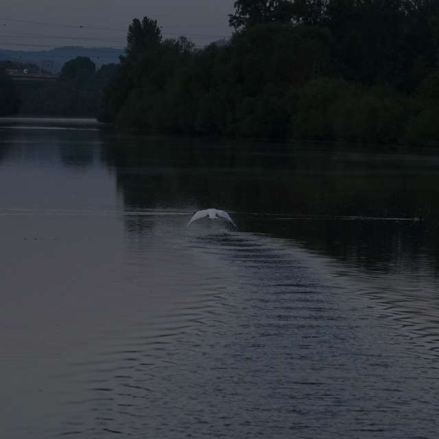 Fotos Rio. Previsões do tempo com lindas fotos de Vasek325 em Praha 12