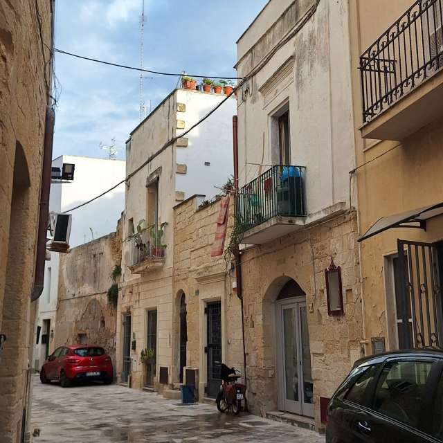 Previsões do tempo com lindas fotos de Silvesoft