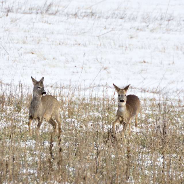 Tom44の美しい写真による天気予報