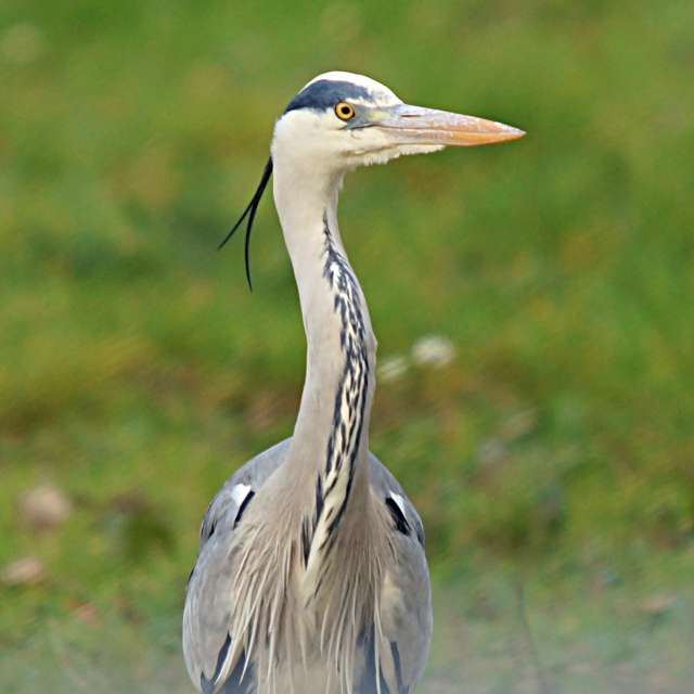 Weather forecasts with beautiful photos by tony5636