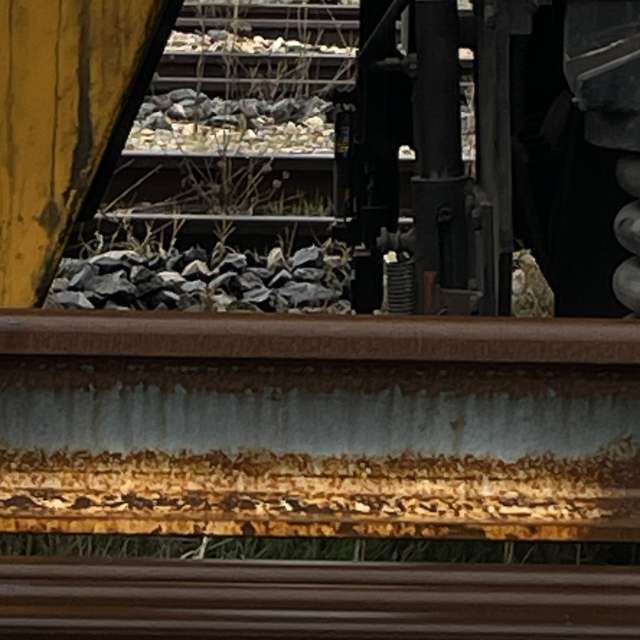 Prévisions météo avec de superbes photos de Bertrand06