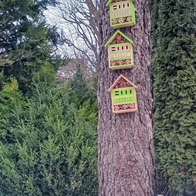 Kripoの美しい写真による天気予報