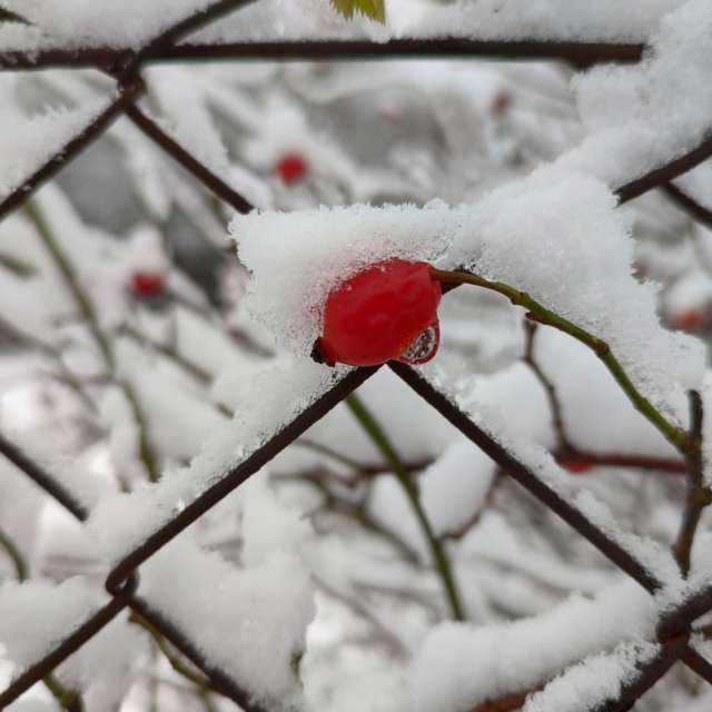 Fotos Clima. Previsões do tempo com lindas fotos de drollted em Česká Třebová