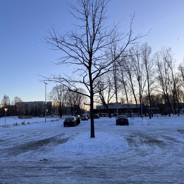 Standing. Weather forecasts with beautiful photos by Svet-Lana Photos in Rīga