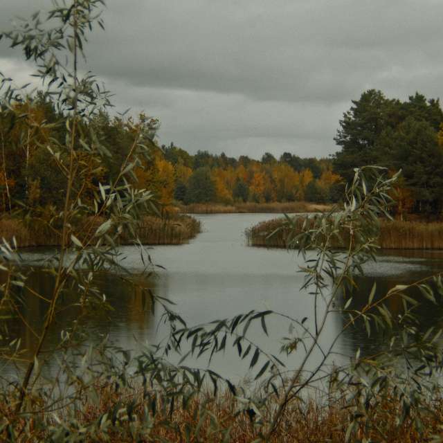 Pronósticos del tiempo con hermosas fotos de RuslanLeuliukh