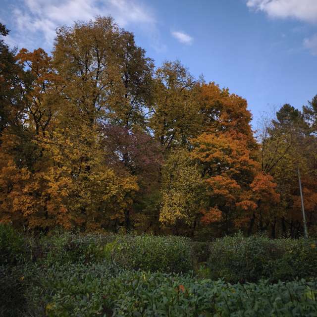 Weather forecasts with beautiful photos by Amanda_and_Valdemar_Che