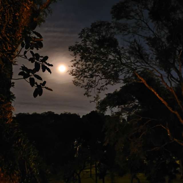 天气预报，带neconobre精美的照片