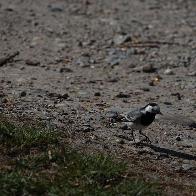 Fotos Caminho. Previsões do tempo com lindas fotos de Vasek325 em Praha 4
