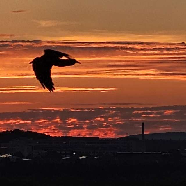 Прогнозы погоды с чудесными фотографиями, сделанными Thinner1000