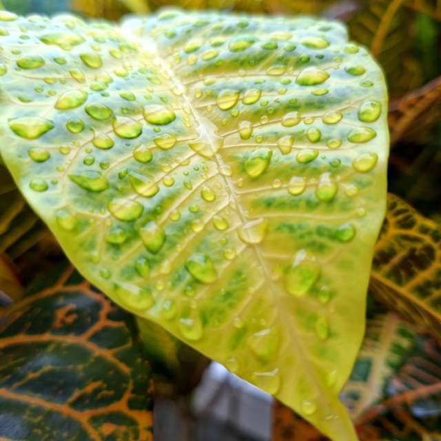 Covered. Weather forecasts with beautiful photos by Wen-ya Huang Photos in Kaohsiung City