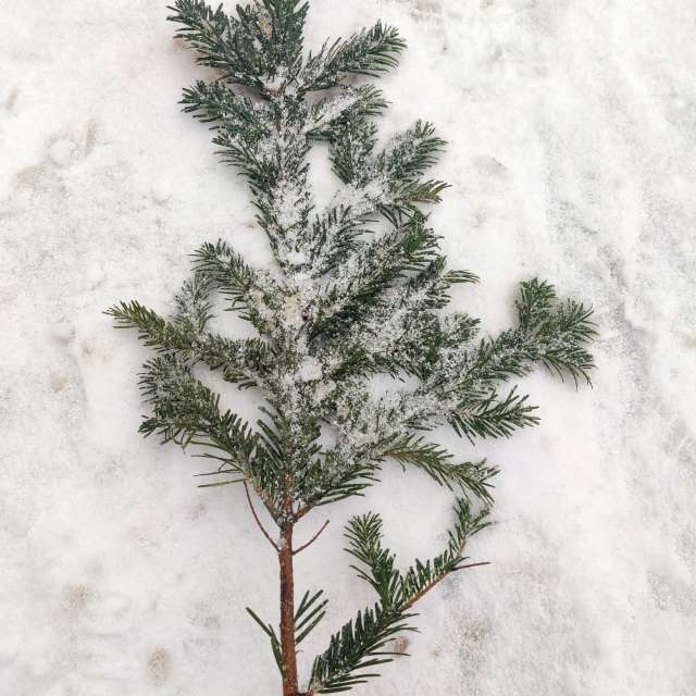 Прогнозы погоды с чудесными фотографиями, сделанными Zorrra