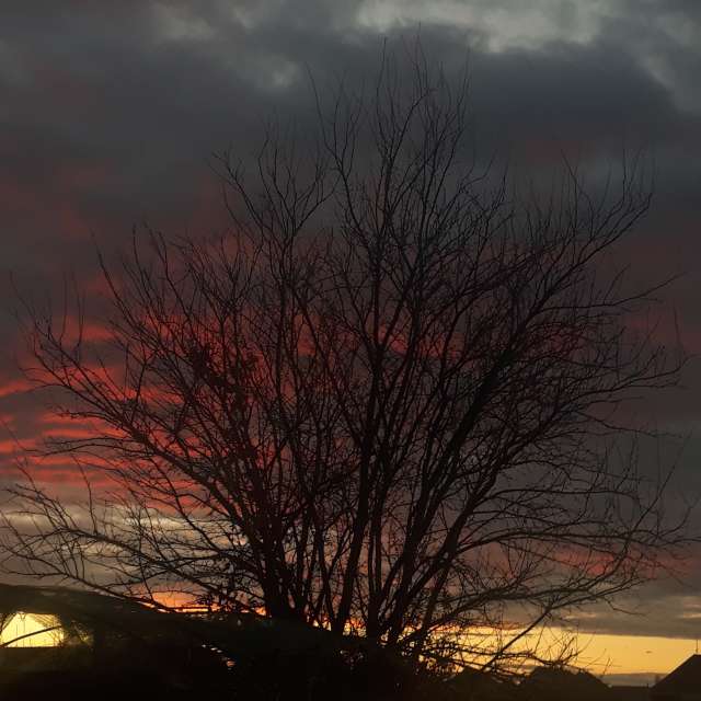 Wettervorhersagen mit schönen Fotos von Balint