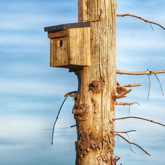 Lotti5507の美しい写真による天気予報