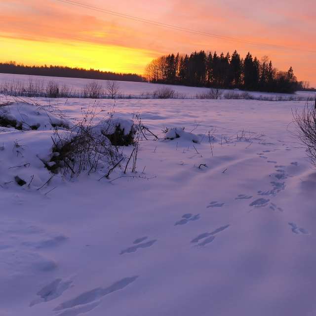Фотографии Погоды в Мир. Прогнозы погоды с чудесными фотографиями, сделанными Valiukas