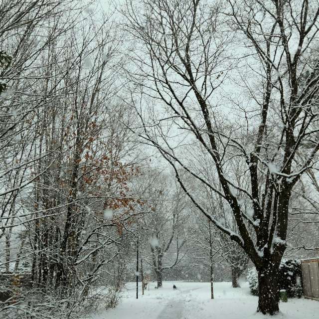 Wettervorhersagen mit schönen Fotos von KevinG