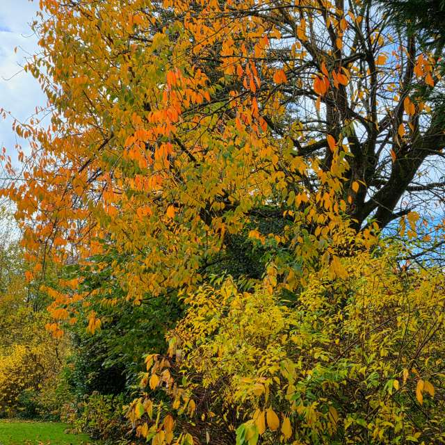 Grassy. Weather forecasts with beautiful photos by Seni Photos in World