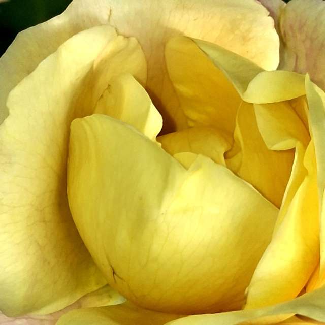 Some. Weather forecasts with beautiful photos by Wen-ya Huang Photos in Kaohsiung City