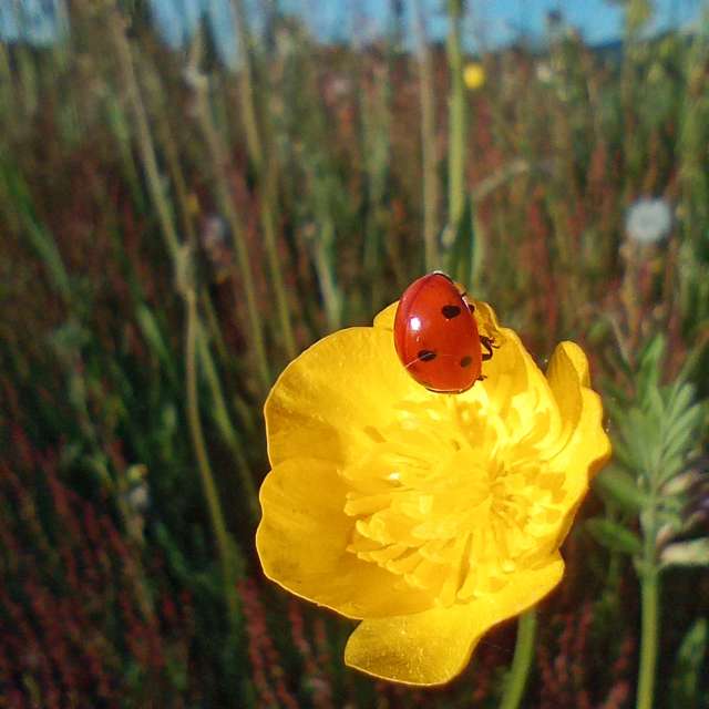 Weather forecasts with beautiful photos by Fredy_Hiker