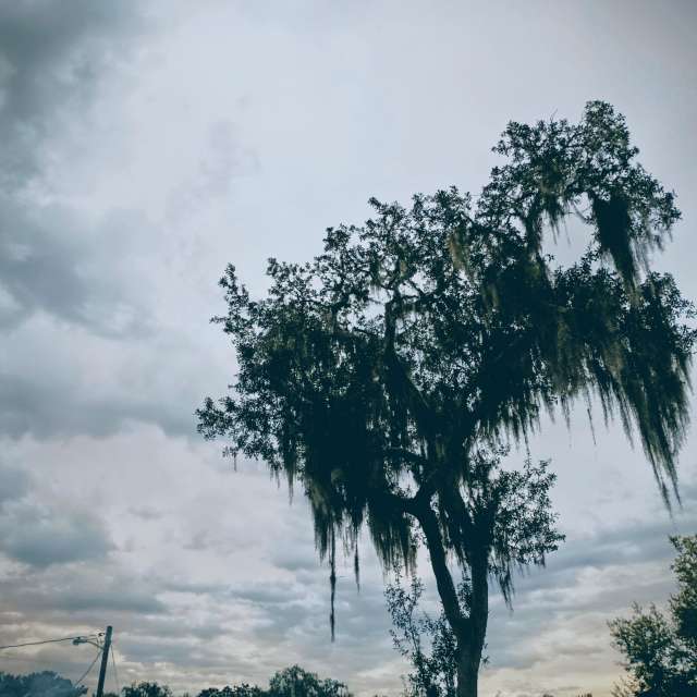 Weather forecasts with beautiful photos by Christinam01