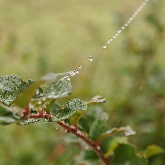Pronósticos del tiempo con hermosas fotos de Fabri