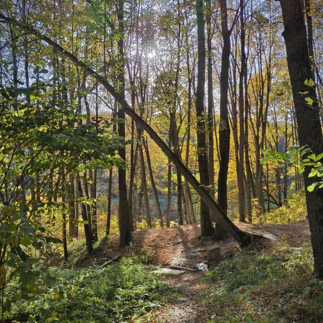 Giraffe. Weather forecasts with beautiful photos by Aleksei Photos in Tula