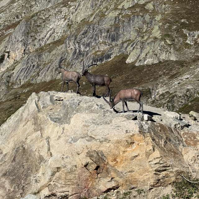 AntoninoMistretta द्वारा खूबसूरत तस्वीरों के साथ मौसम का पूर्वानुमान