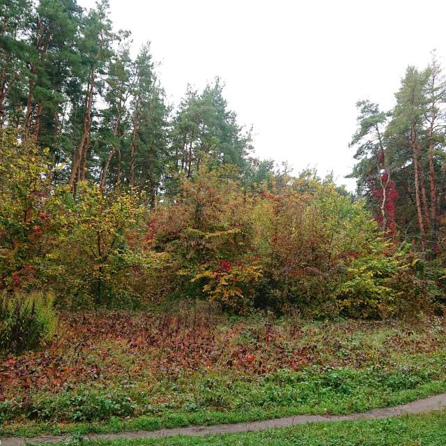 Front. Weather forecasts with beautiful photos by Михаил Гавриков Photos in Kharkiv