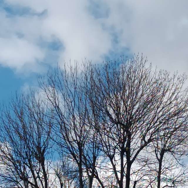 Fotos del Oveja. Pronósticos del tiempo con hermosas fotos de YanBog en București