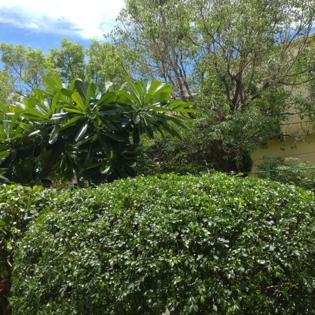 Photos Banc.banc. Prévisions météo avec de superbes photos de Wen-ya Huang de Kaohsiung