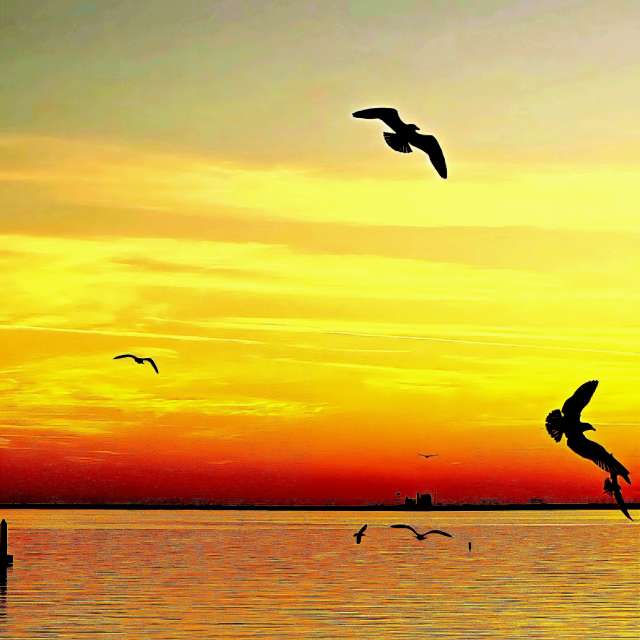 Weather forecasts with beautiful photos by jJaycox