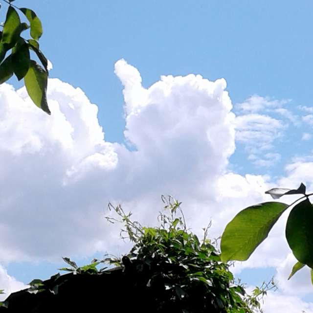 Clouds. Weather forecasts with beautiful photos by urashm Photos in Khmelnytskyi