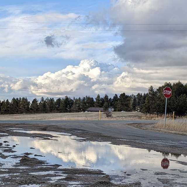 Feld. Wettervorhersagen mit schönen Fotos von BonnieC85 Fotos Pine View Airport