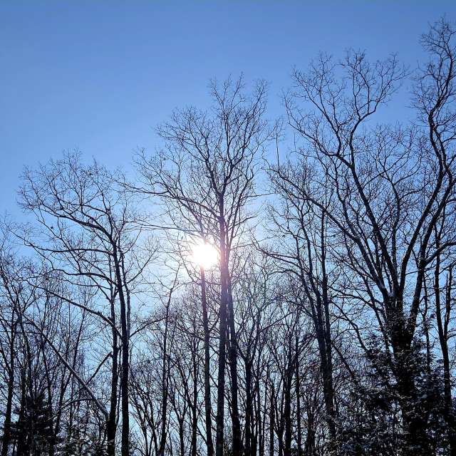 Pronósticos del tiempo con hermosas fotos de Kepi