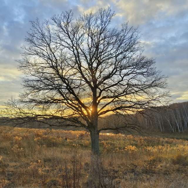 世界的天气照片. 天气预报，带Aleksei精美的照片