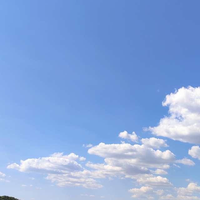 Prévisions météo avec de superbes photos de 55CASPER55